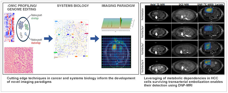 PIGI Penn Image Guided Intervention Laboratory Research Graphic